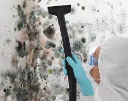 Best Emergency Mold Remediation  in Queen City, TX